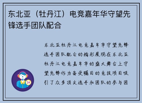 东北亚（牡丹江）电竞嘉年华守望先锋选手团队配合
