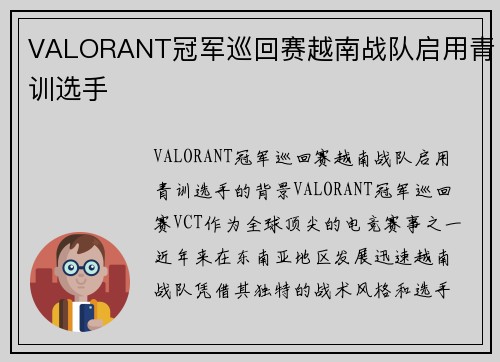 VALORANT冠军巡回赛越南战队启用青训选手