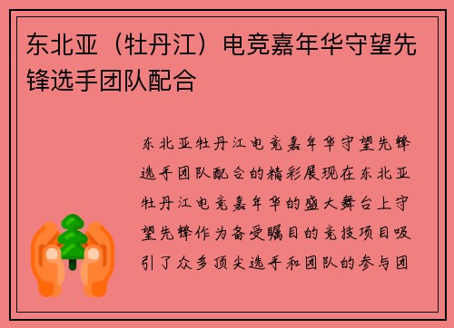 东北亚（牡丹江）电竞嘉年华守望先锋选手团队配合